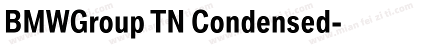 BMWGroup TN Condensed字体转换